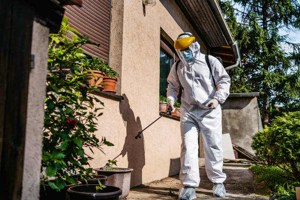 Best Pest Prevention Services  in Weirton, WV