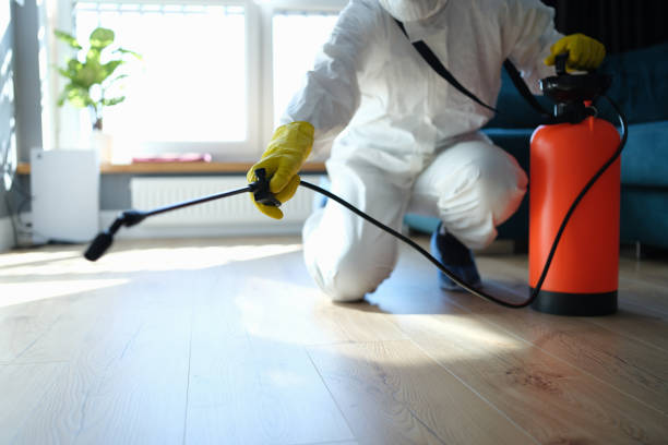 Best Termite Control Services  in Weirton, WV