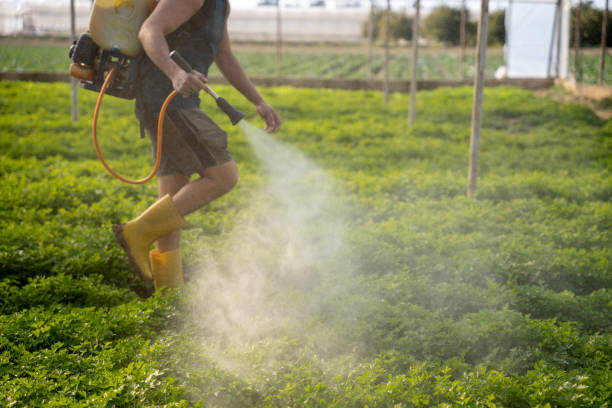 Best Commercial Pest Control Services  in Weirton, WV