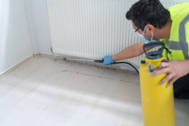 Best Pest Control Near Me  in Weirton, WV